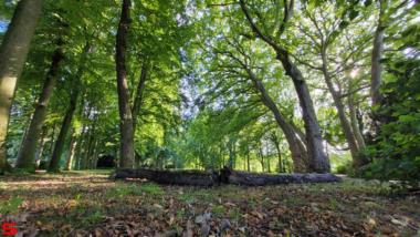 [Stad en Land] :: Dubbeldam en Kop van t land (5)