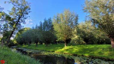 [Stad en Land] :: Dubbeldam en Kop van t land (8)