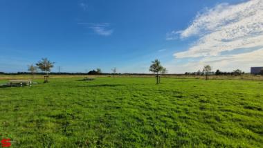 [Stad en Land] :: Dubbeldam en Kop van t land (16)